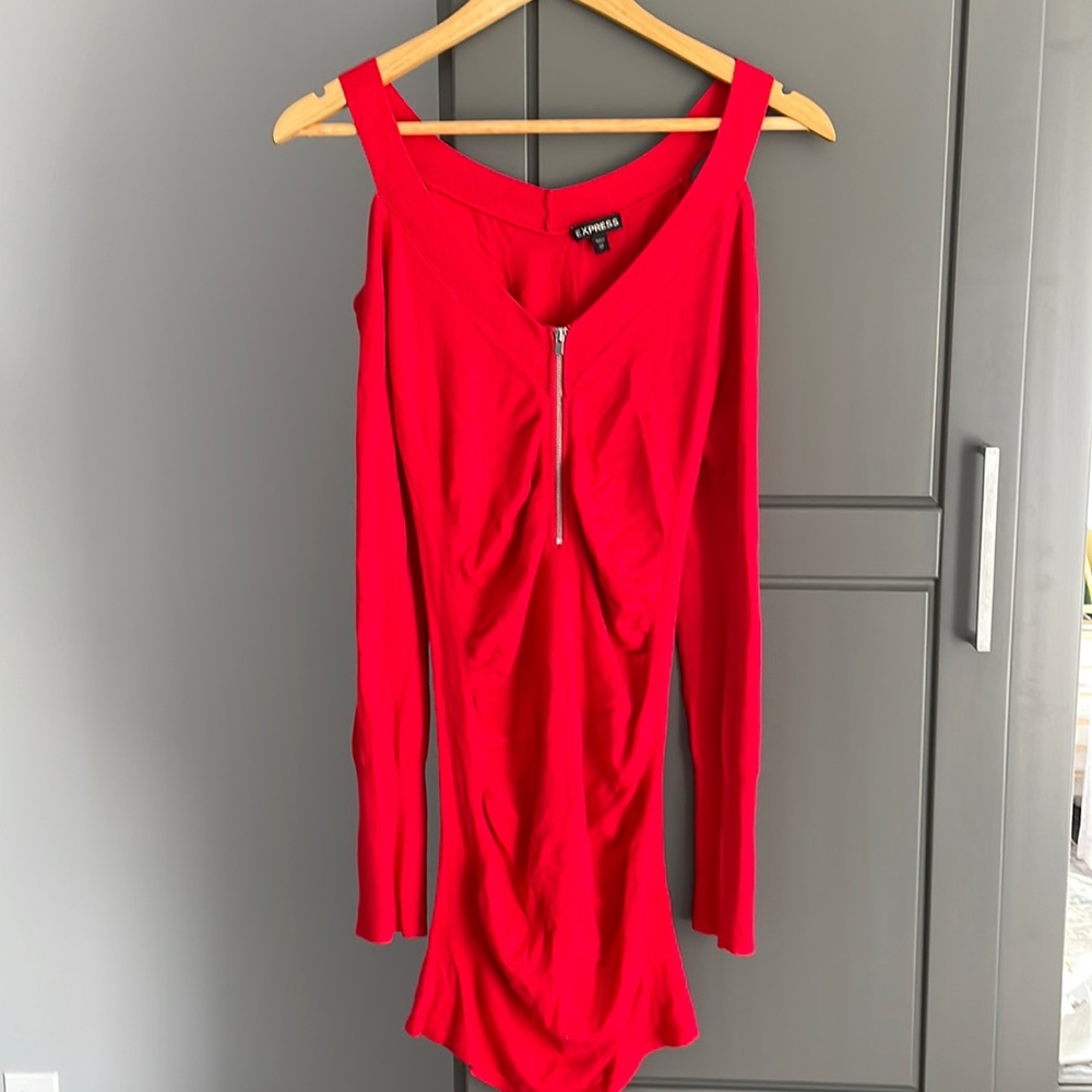 Express Sweater Dress